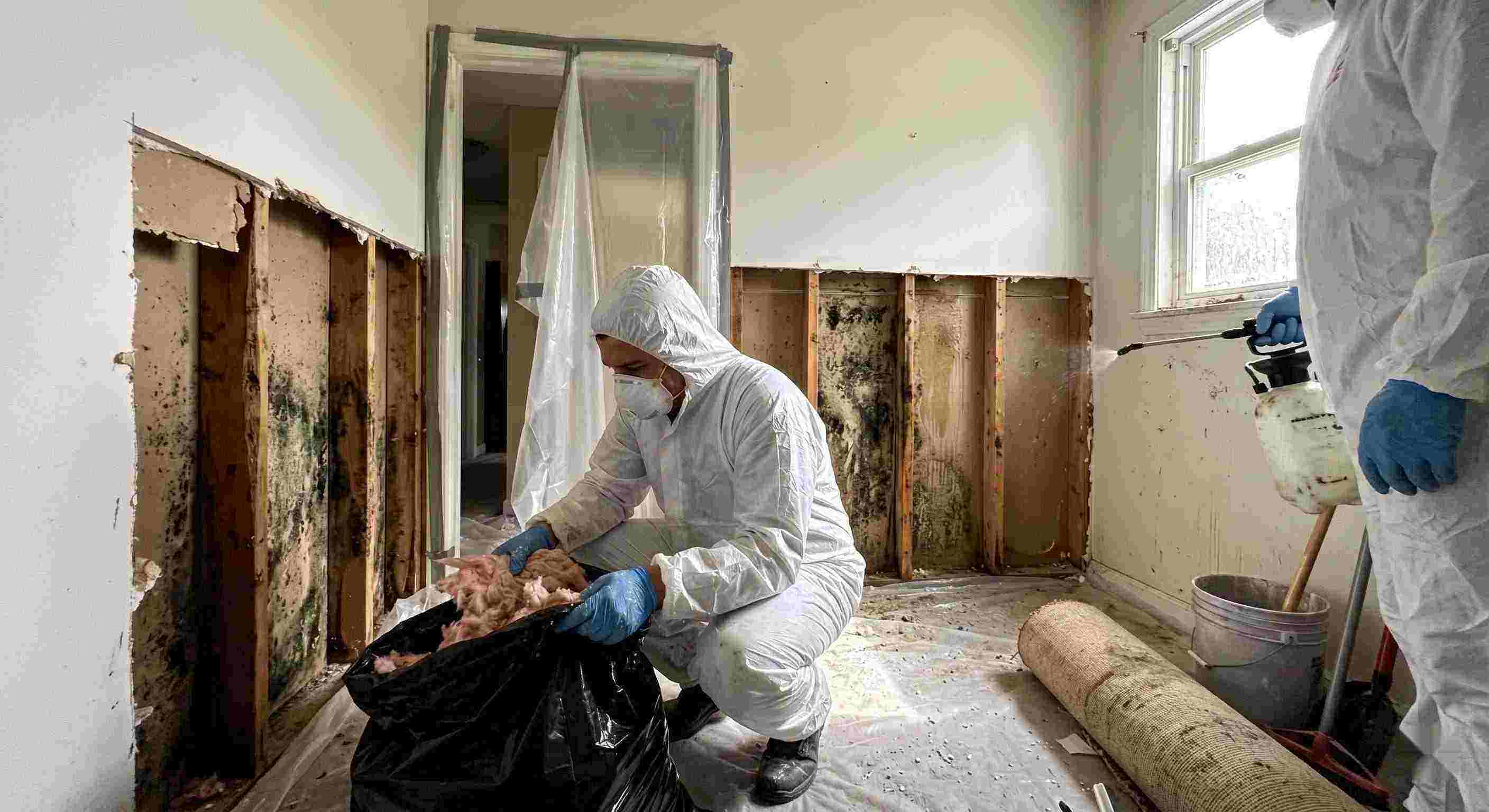Top-rated mold remediation services removing mold behind wall in home in Spring Hill